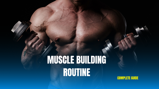 Muscle Building Guide